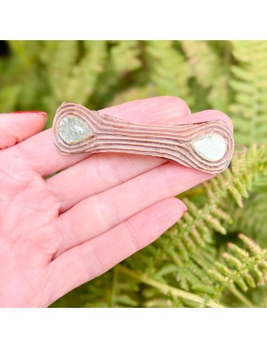 School of Line Vautrin...